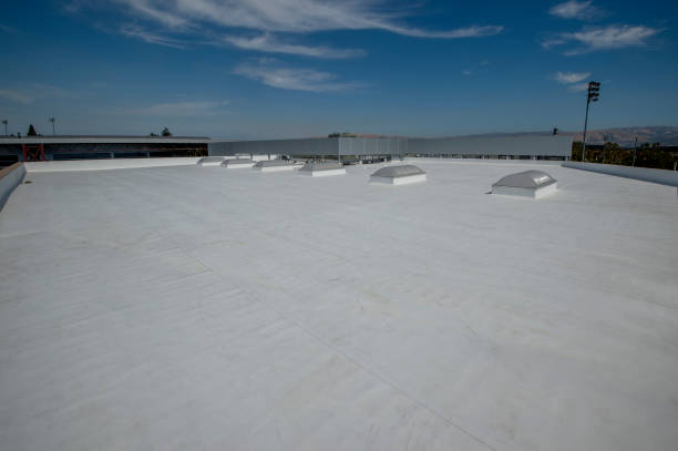Best Rubber Roofing (EPDM, TPO)  in Houghton, MI
