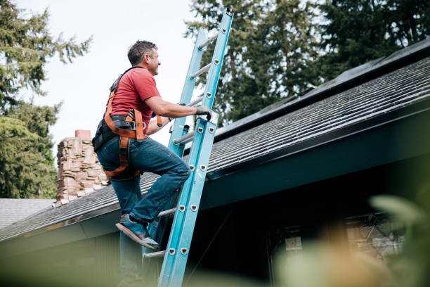 Best Cold Roofs  in Houghton, MI