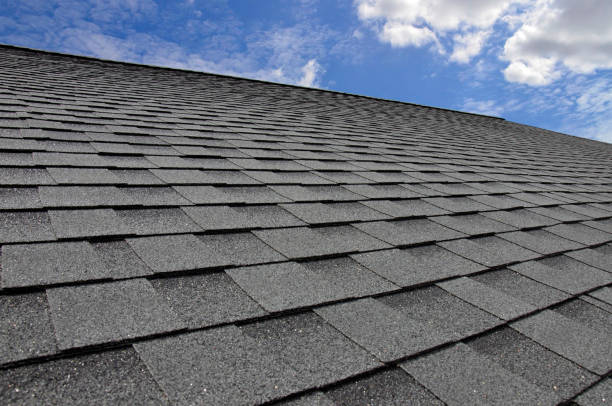 Best Roof Insulation Installation  in Houghton, MI